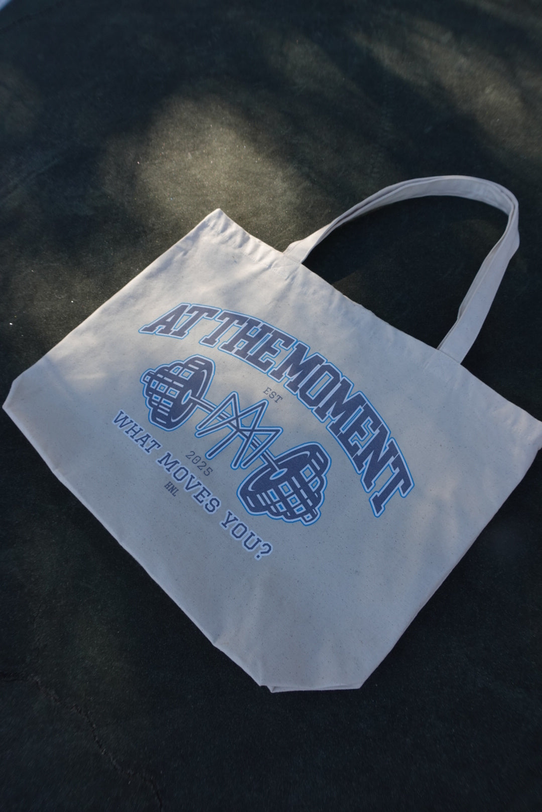 The ESSENTIALS CANVAS CARRY ALL TOTE