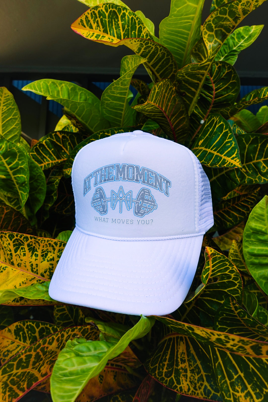 THE ESSENTIALS VARSITY TRUCKER HAT